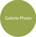 chirurgie-plastique-tournai-carpentier-galerie-photo